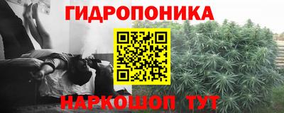 соль ск Краснодар